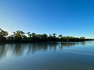 豊富な水を湛えるトムソン川。　© Miki Hirano